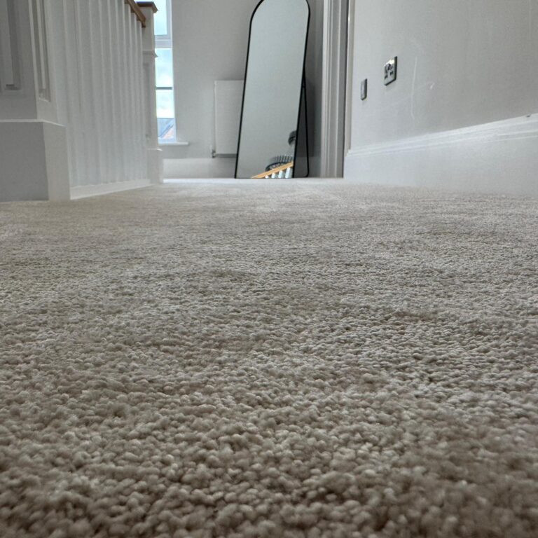 whatsapp image 2025 10 16 at 18.25.06 b87a6d14